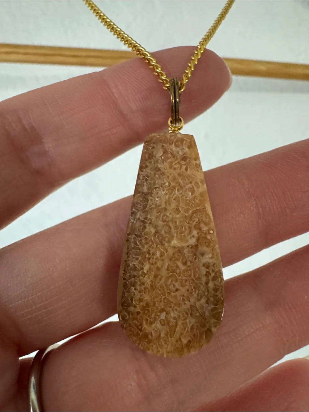 Fossilized Coral Necklace